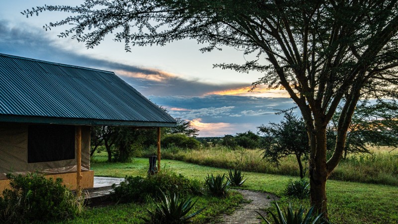 Africa Safari Serengeti Ikoma Garden