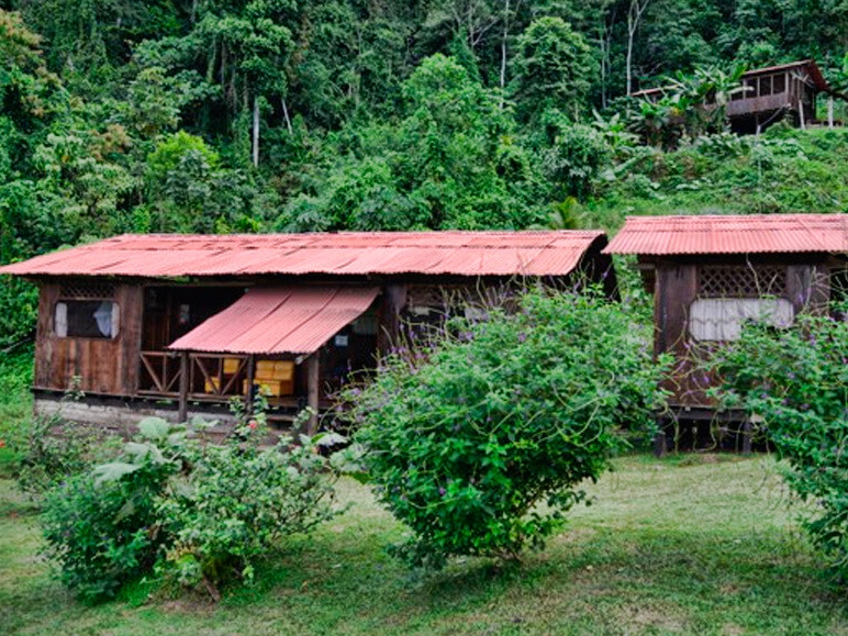 Manu Amazon Adventure 3D