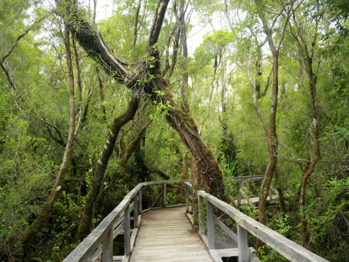Nationalpark Chiloé
