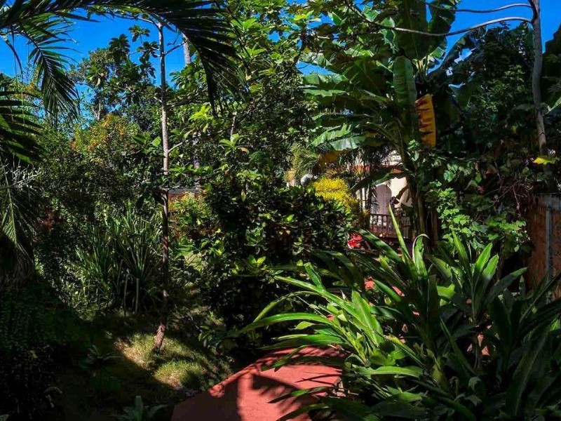 Casa El Suizo Garten