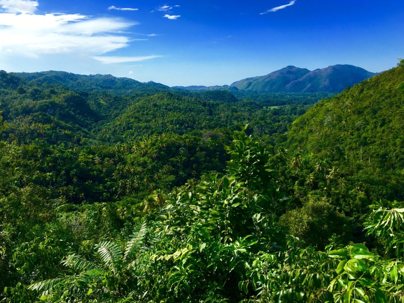 Samana - Samana Zipline