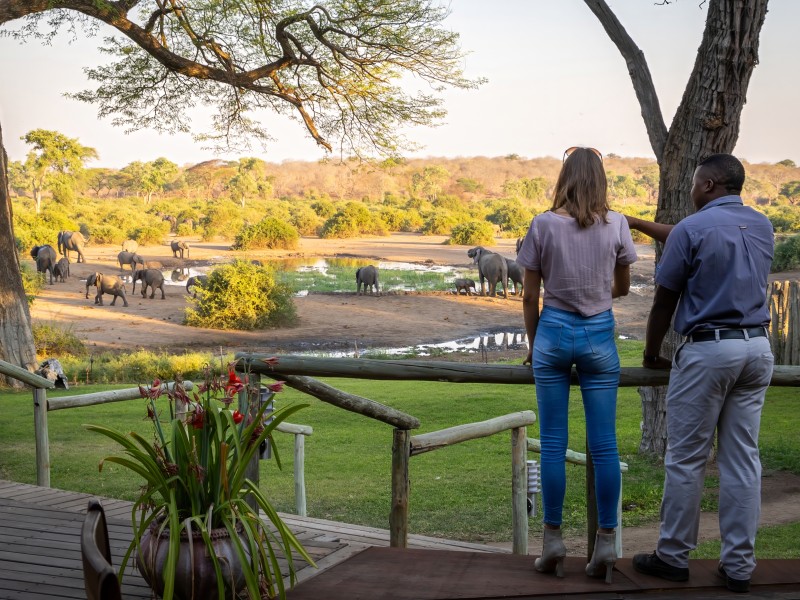 Wasserloch Elephant Valley Lodge