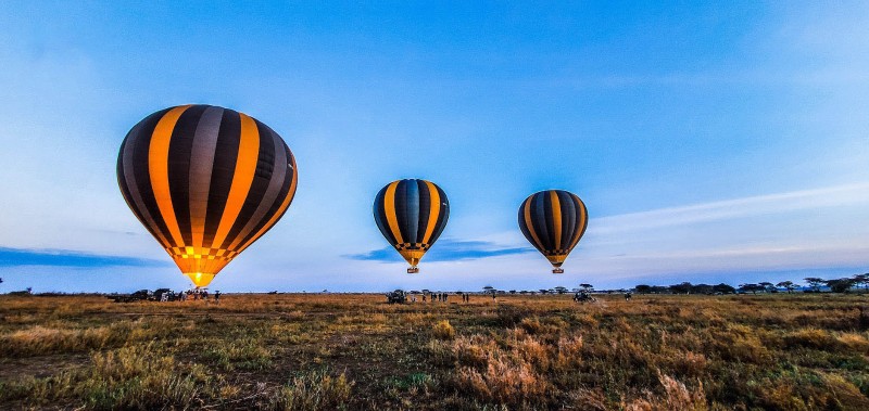 Hot Air Balloon Safari 