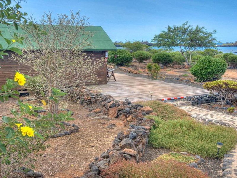 Schön angelegter Außenbereich