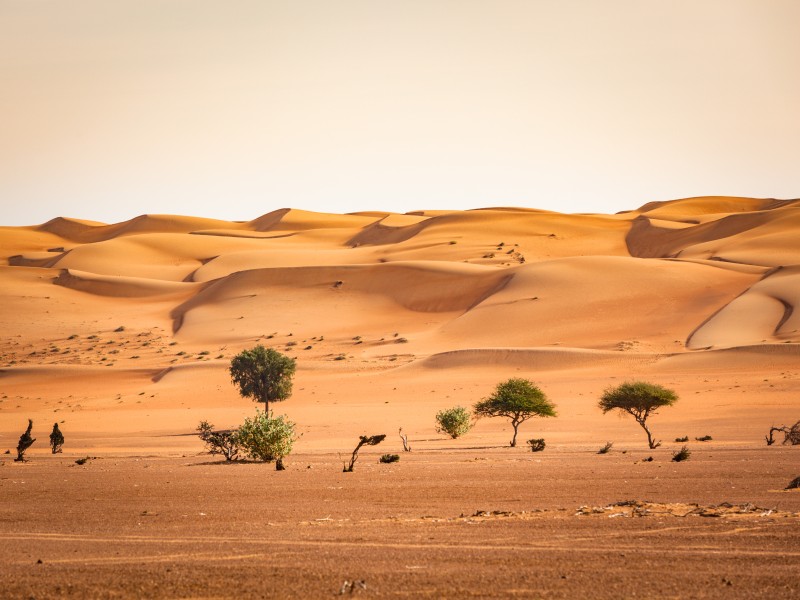 Oman - Wahiba Sands ©35007-gty
