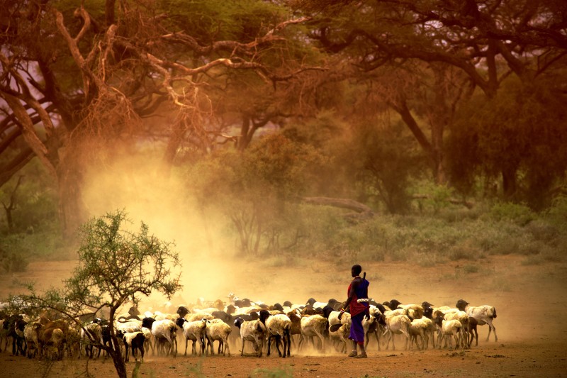 Village Walk in Lake Natron