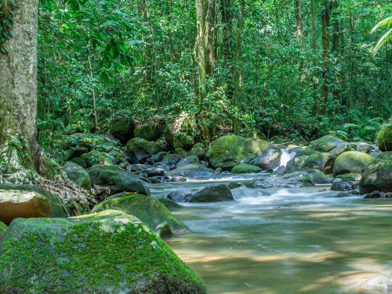Rincón de la Vieja Nationalpark