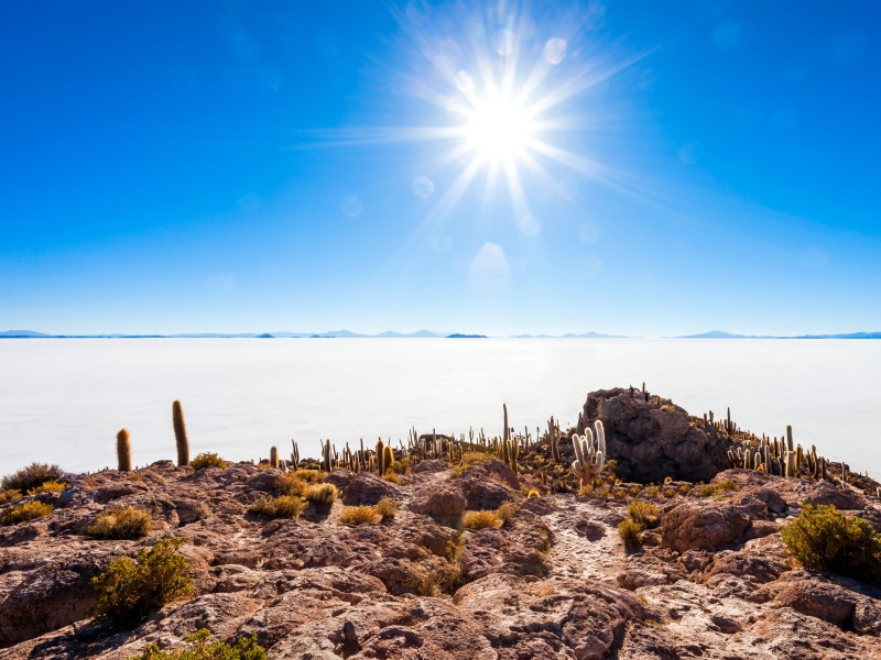 Bolivien_Salar de Uyuni_Cactus Island