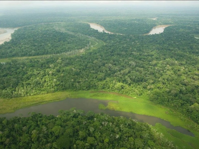 Green Cover_Ariel View