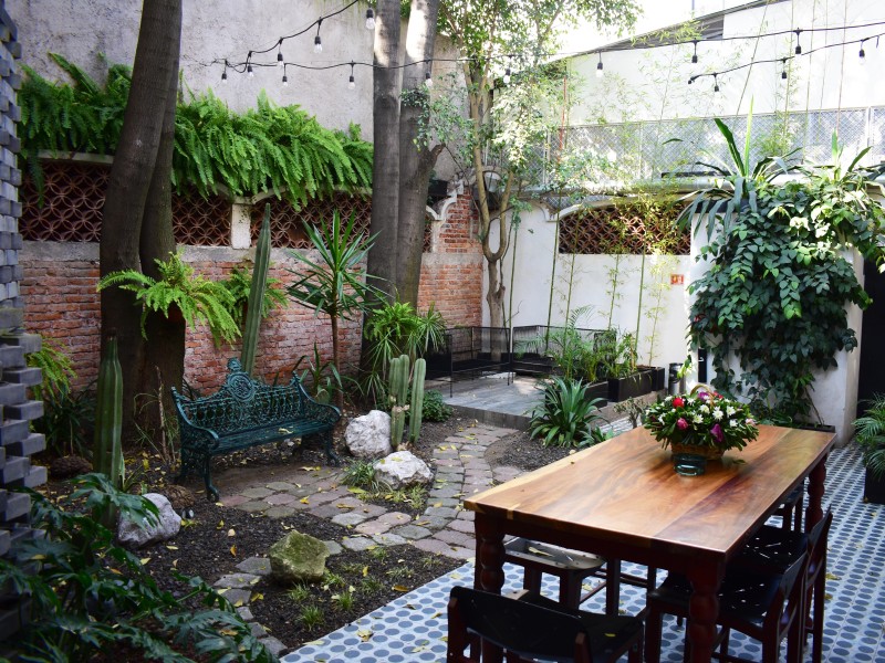 Pug Seal Polanco - Innenhof