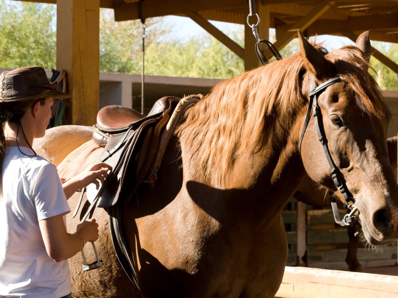 Explora Atacama - Pferde reiten