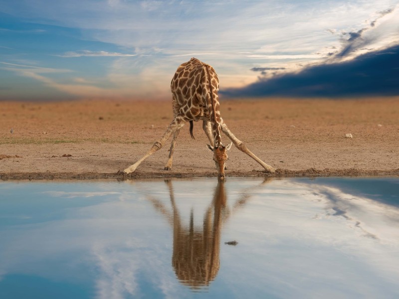 Die Entdeckerreise durch Namibia für Einsteiger