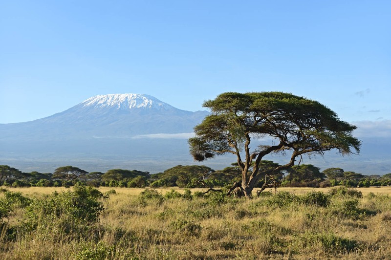 Kilimanjaro