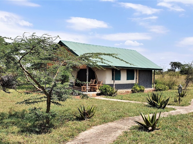 Ikoma Safari Comfort