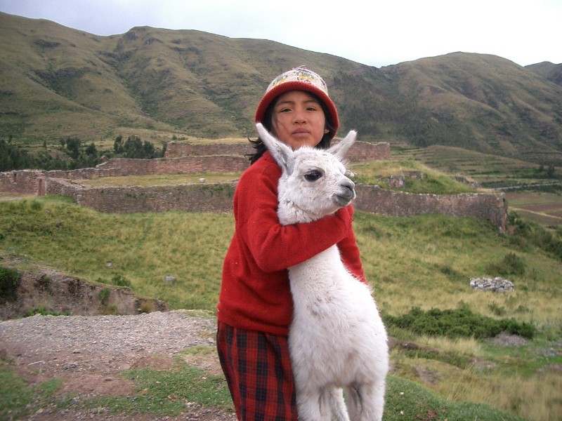 Peru - Kind mit Alpaca