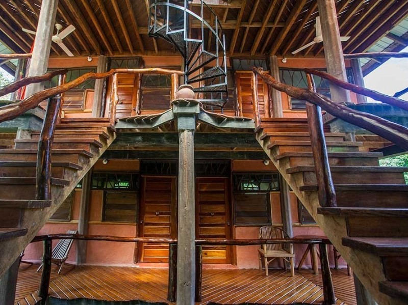 Cotton Tree Lodge - Standard Cabaña