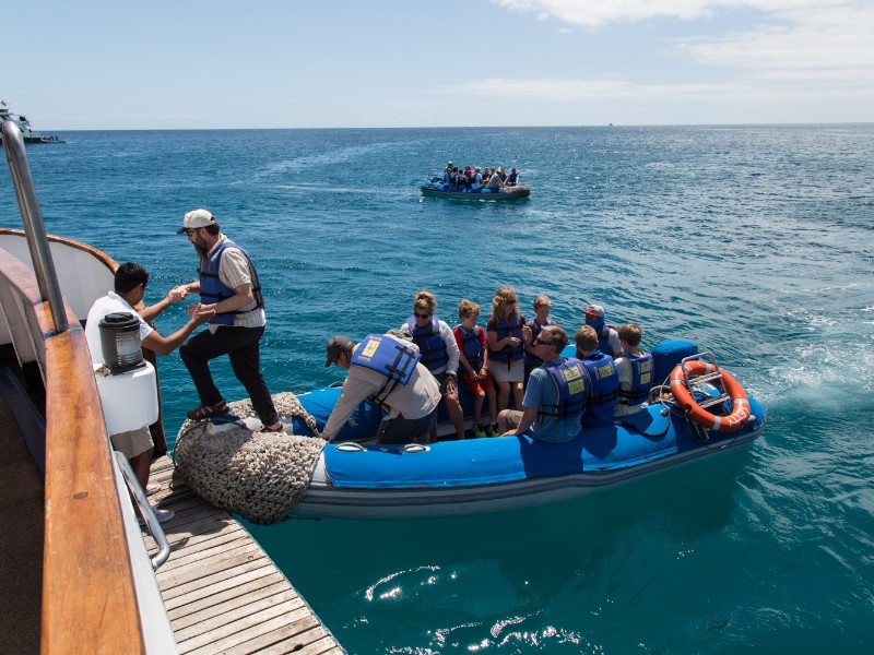 Ankunft nach einem Ausflug