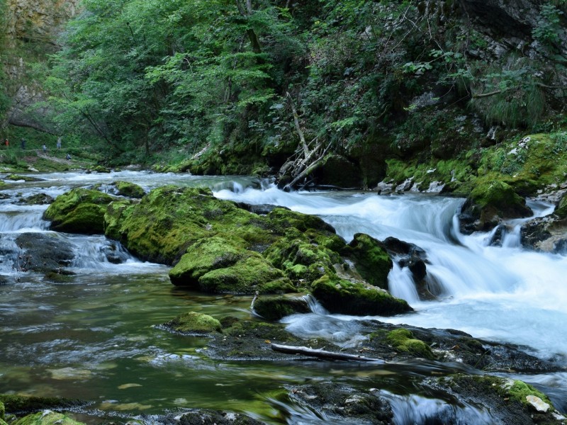 vintgar gorge- day 4