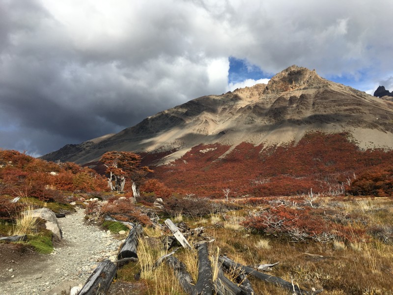 El Chalten - Laguna de los Tres
