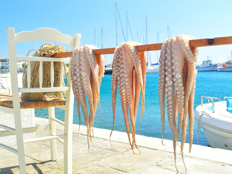Greece - Naxos - Octopus