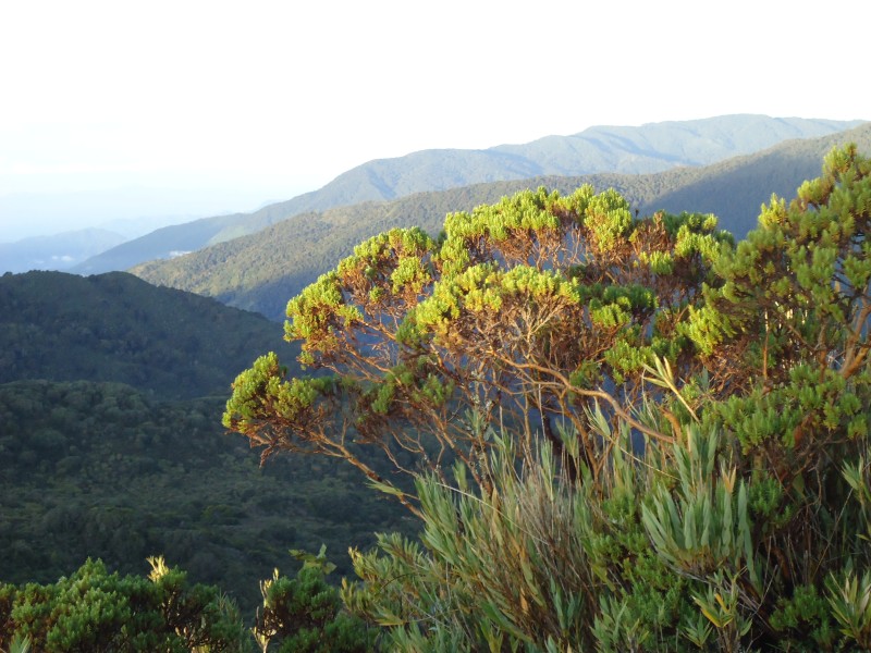 Paraiso Quetzal Lodge - Aussicht