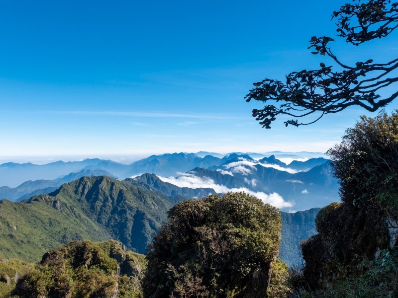 Mount Fansipan View