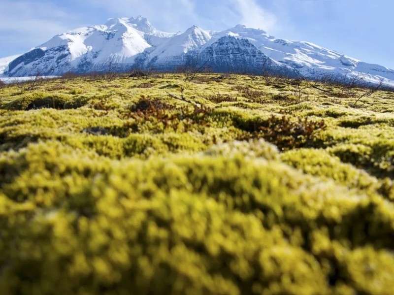 South East Iceland