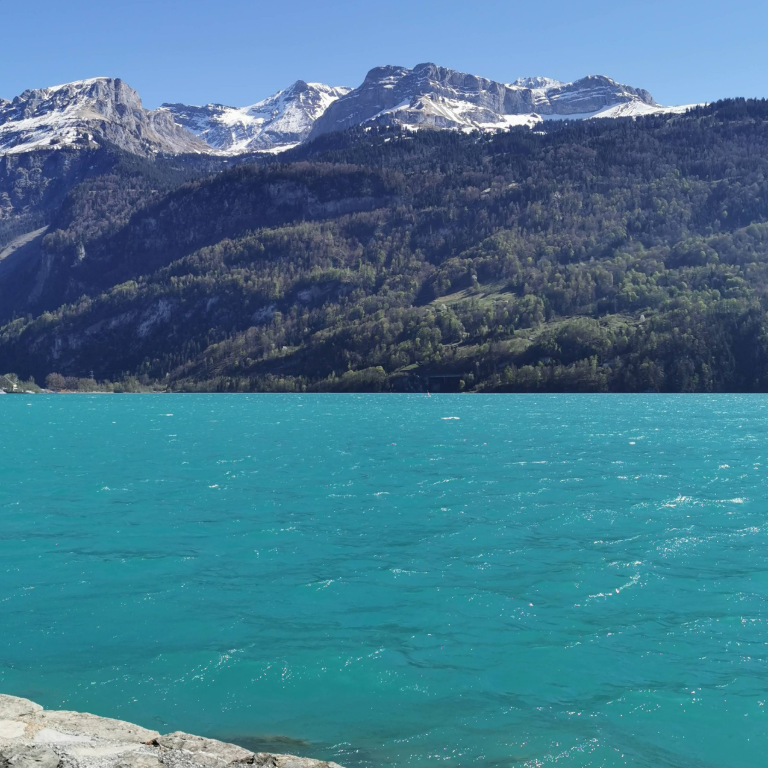 Lake Brienz Interlaken