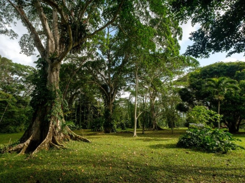 Bocawina - Gartenanlage