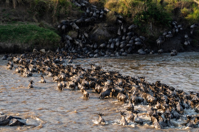 Serengeti-Nationalpark