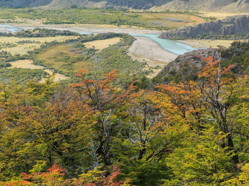 El Chalten - Los Glaciares