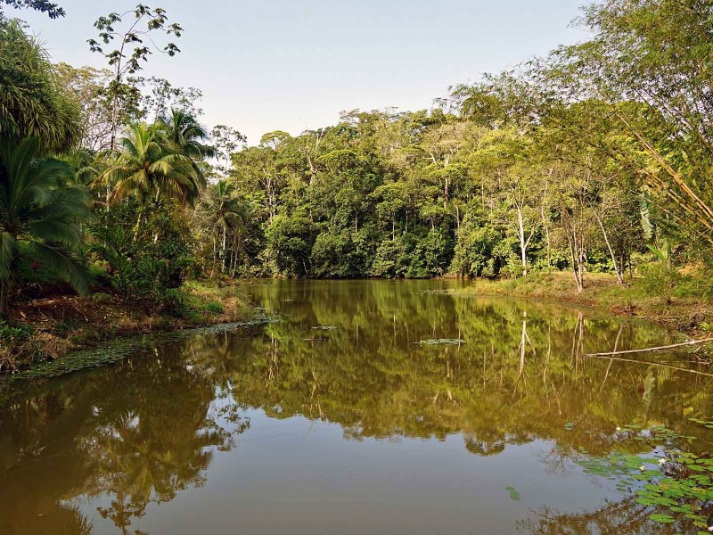 Laguna del Lagarto Lodge