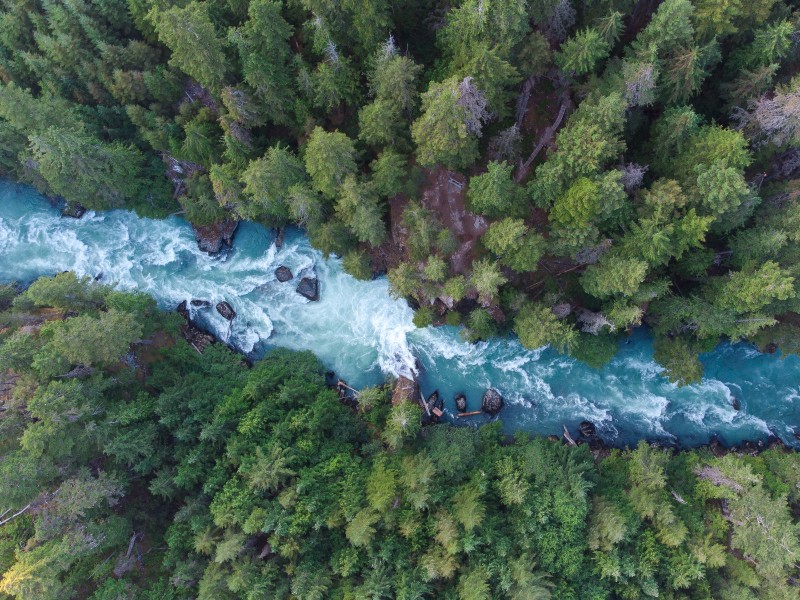 Cheakamus River - Whistler - Kanada