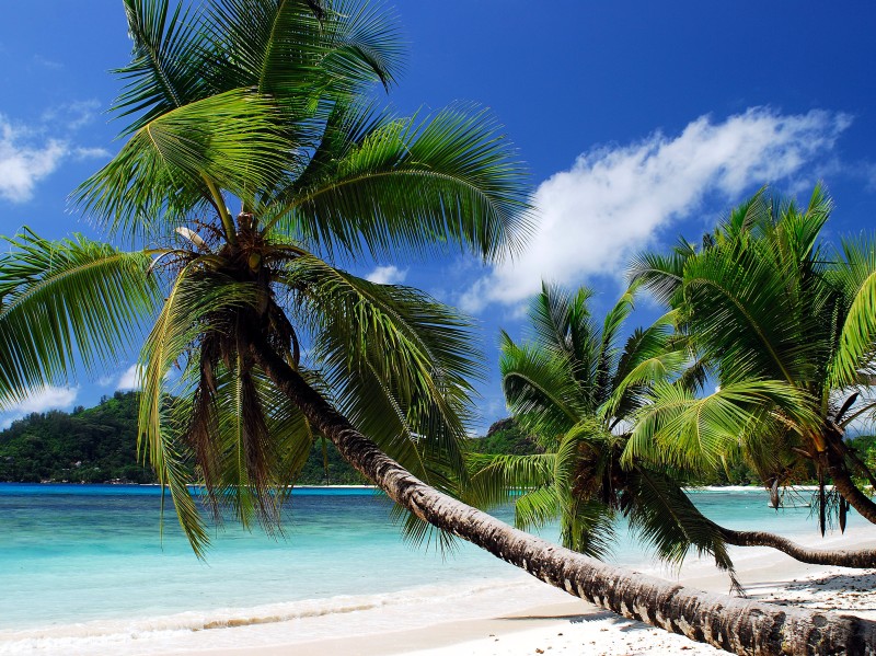 Strand auf den Seychellen