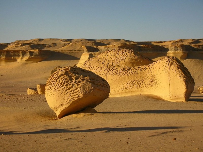 Whale Valley