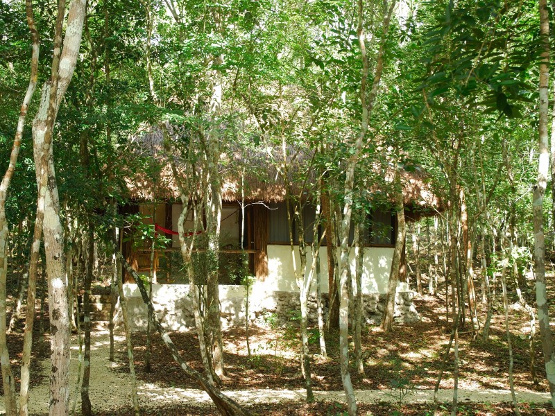 Puerta Calakmul - Bungalow