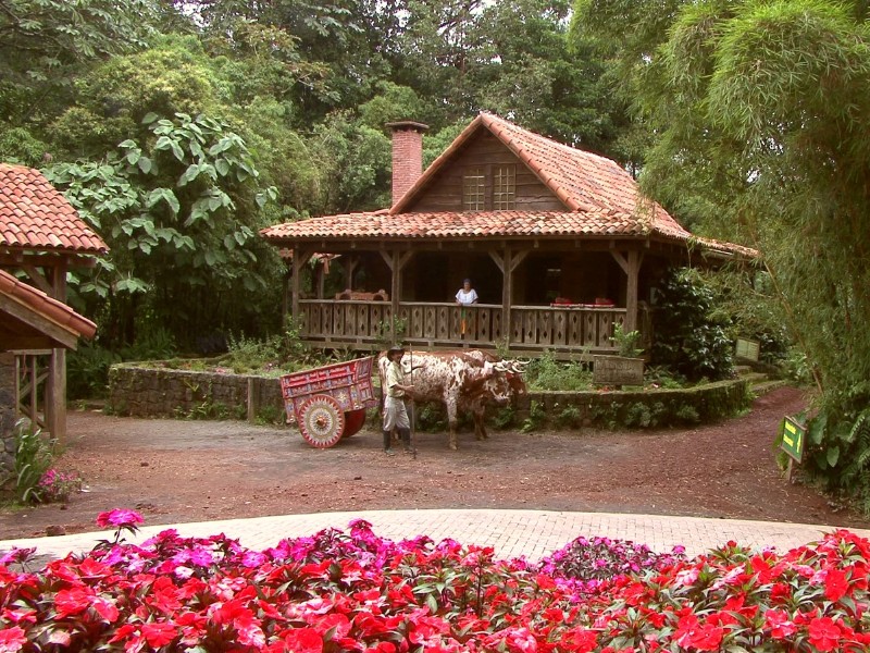 Peace Lodge - Garten