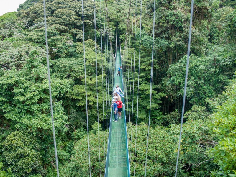 Star Clippers - Monteverde
