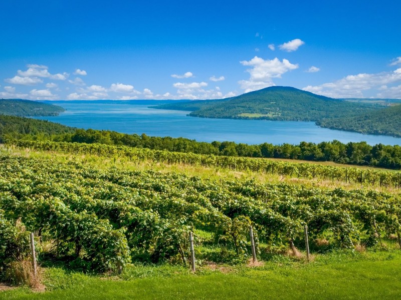 USA - New York - Finger Lakes