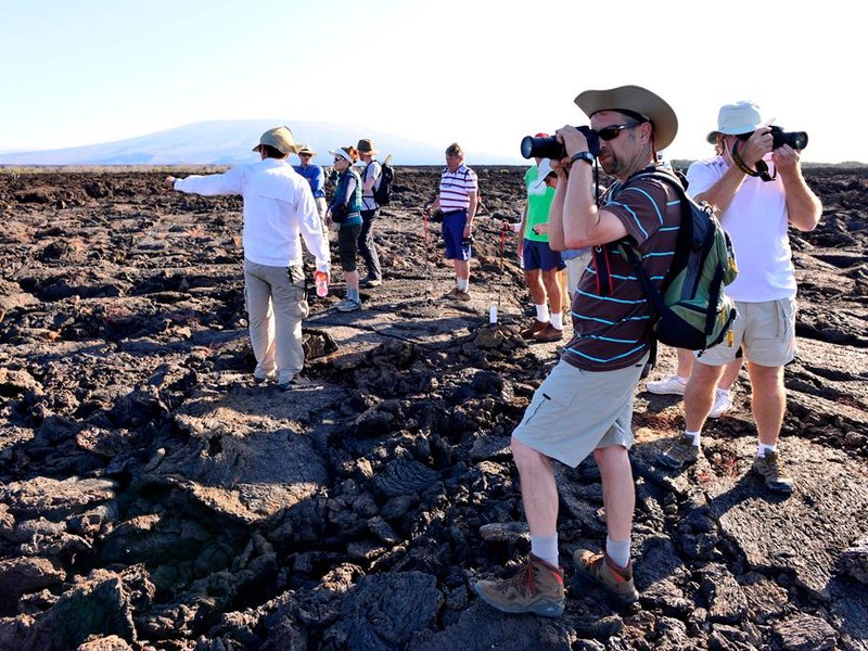 Ausflug auf Punta Moreno