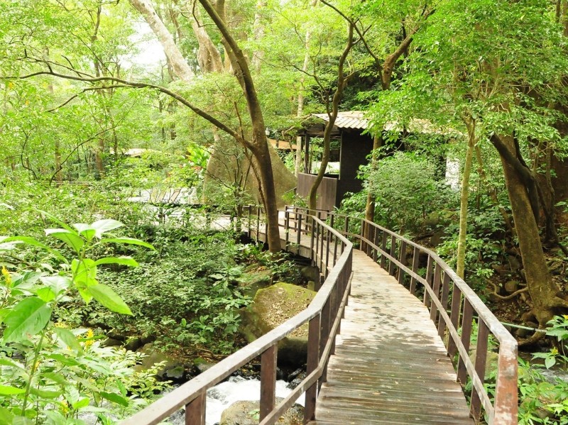 Buena Vista Lodge - Anlage