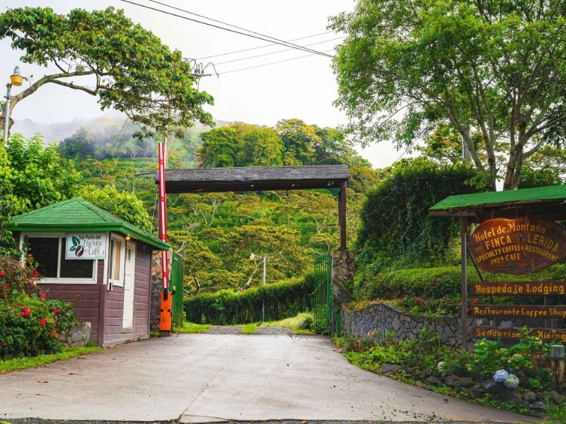 Finca Lérida - Einfahrt