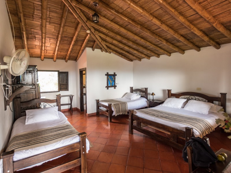 El Bosque del Samán - Superior