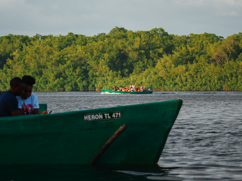 Caroni Swamp Bird Watching