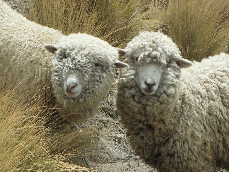 Quilotoa 
