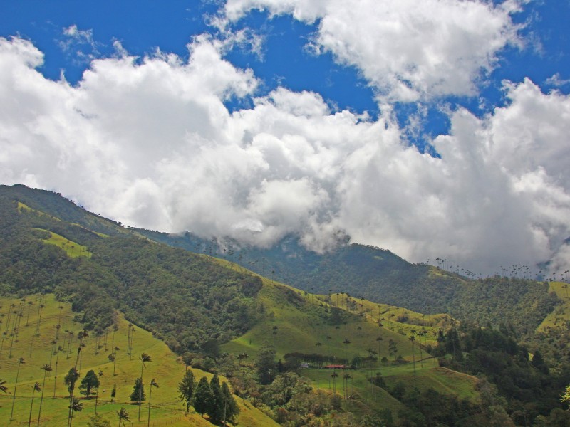  Cocora Valley