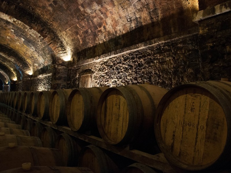 Wine Cellar in Georgia