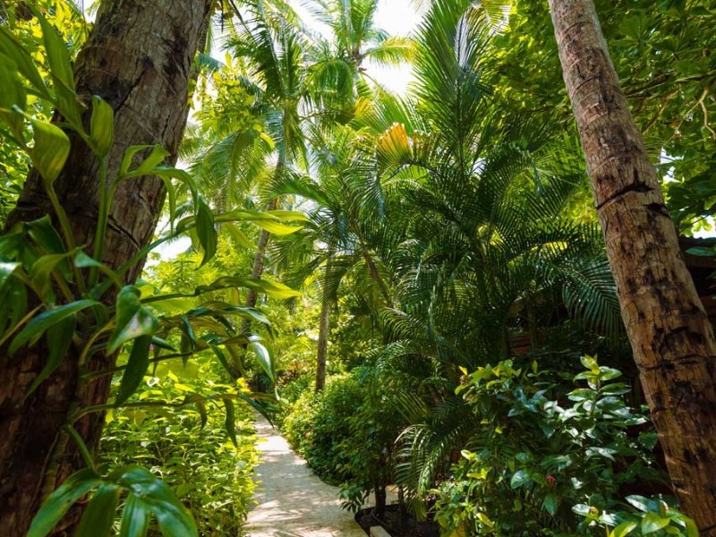 The Harmony Hotel - Garten