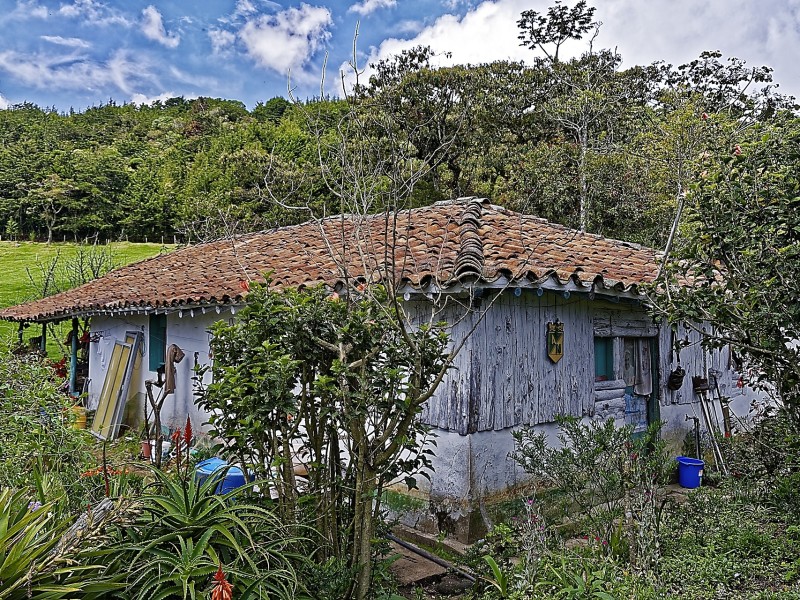Medellín Homes