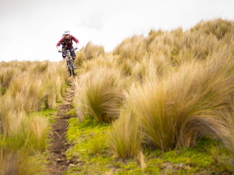 Ausflug mit dem Geländefahrrad